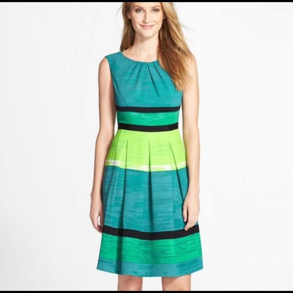 Adrianna Papell Fit and Flare Dress